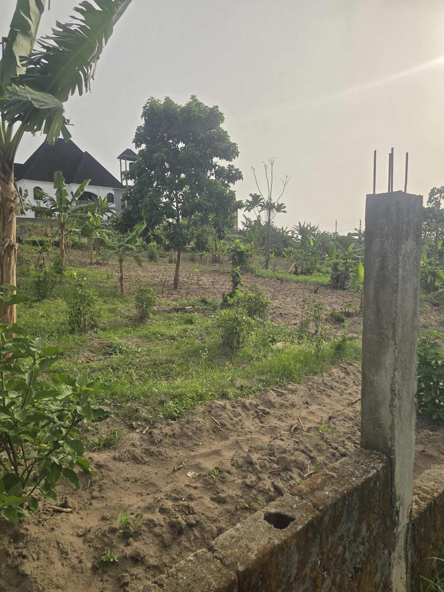 LI_terrain_japoma_070426_x1