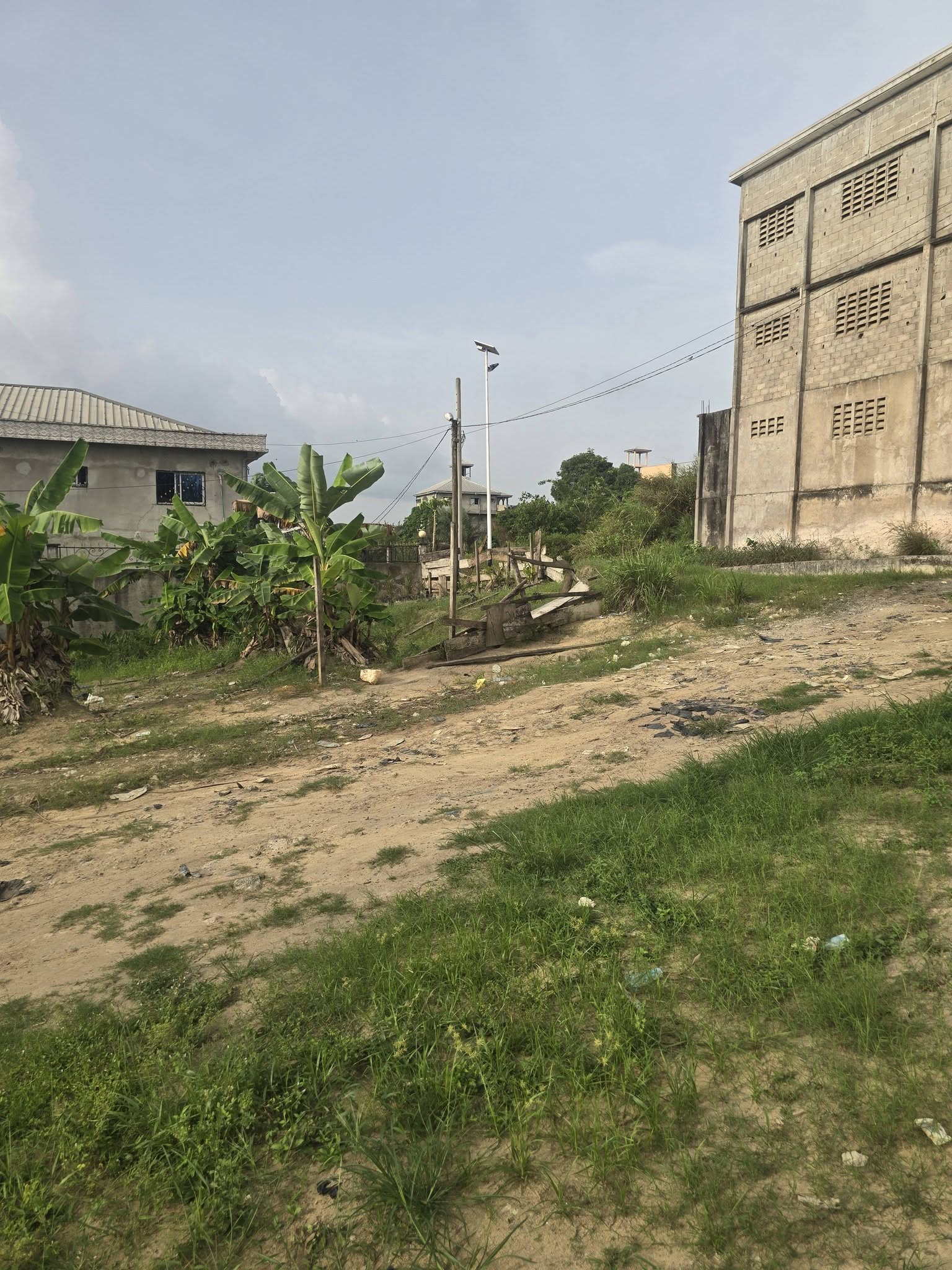 LI_terrain_japoma_070426_x2