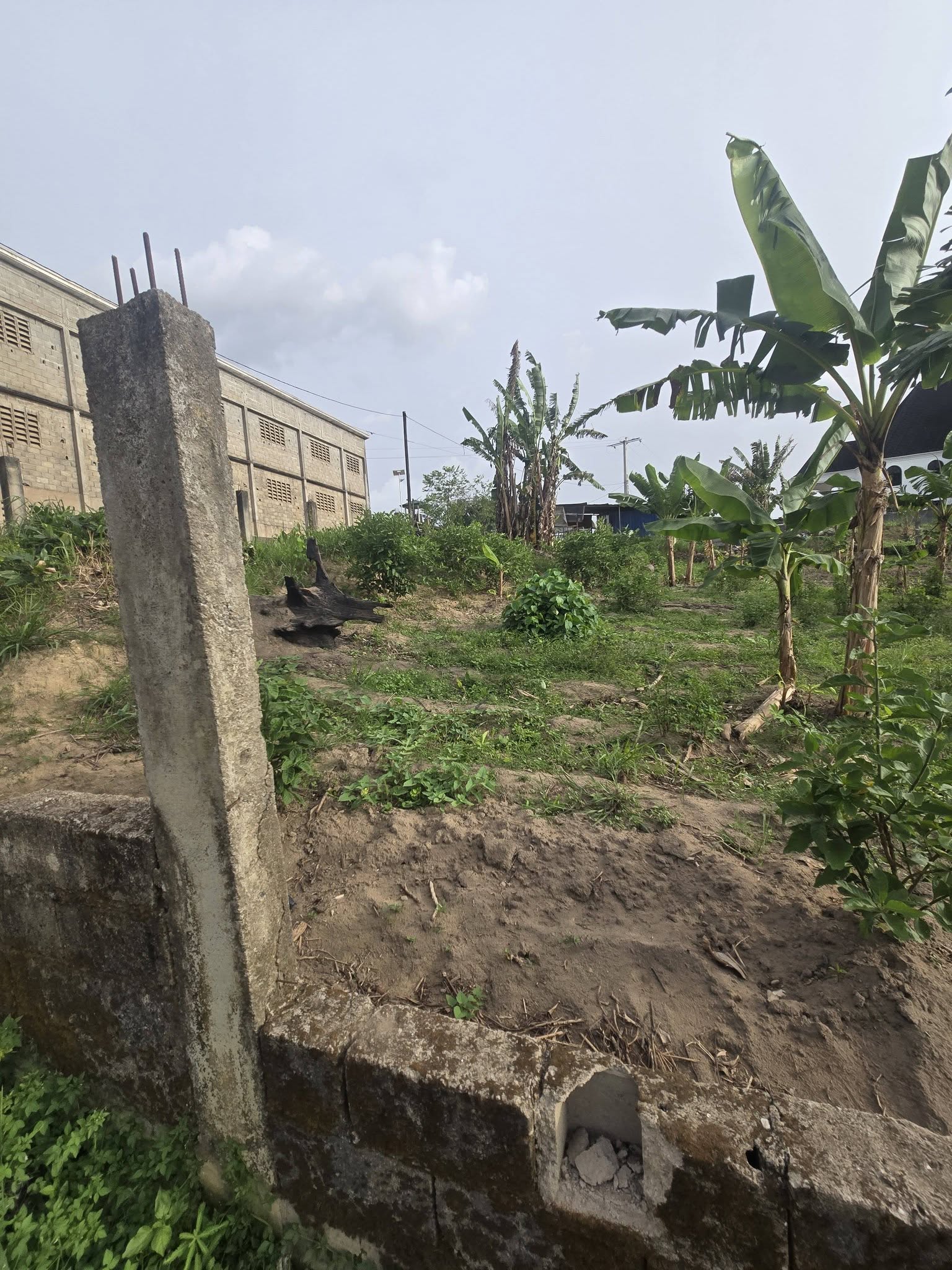 38417- Terrain titré au carrefour Matango, Douala Japoma