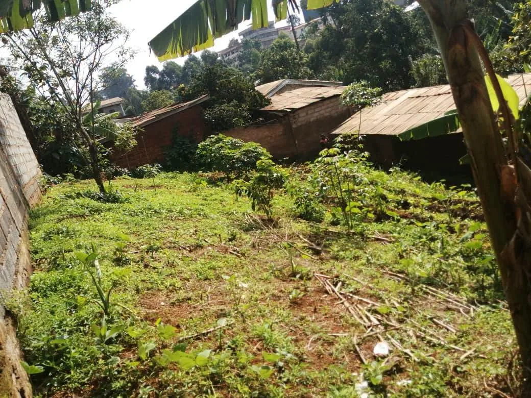 Terrain à vendre à Bafoussam Carrefour Le Maire