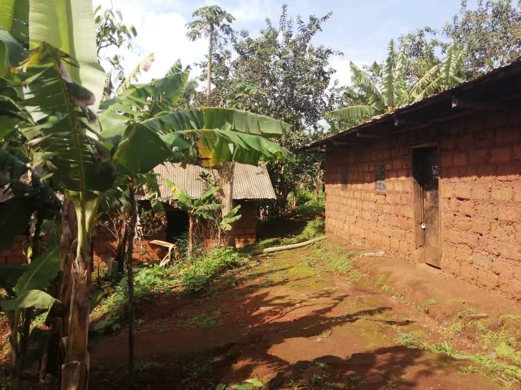 Terrain à vendre à Bafoussam Carrefour Le Maire