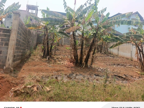 40792- TERRAIN TITRÉ AFRIQUE CONSTRUCTION BAFOUSSAM