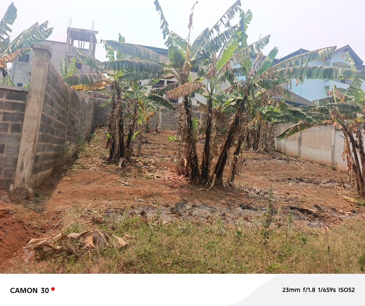 40772- TERRAIN TITRÉ AFRIQUE CONSTRUCTION BAFOUSSAM