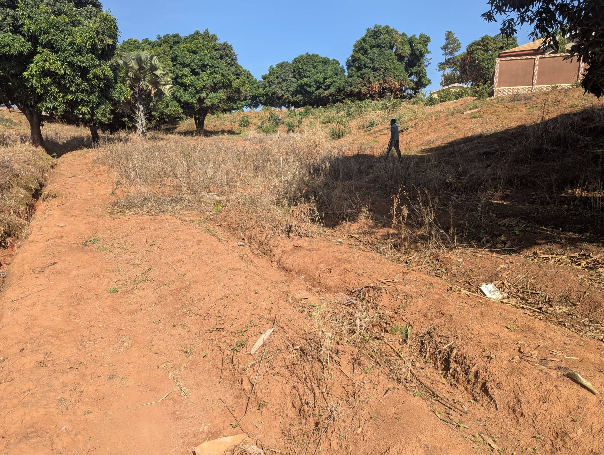 40679- Terrain titré face lycée de Bamyanga