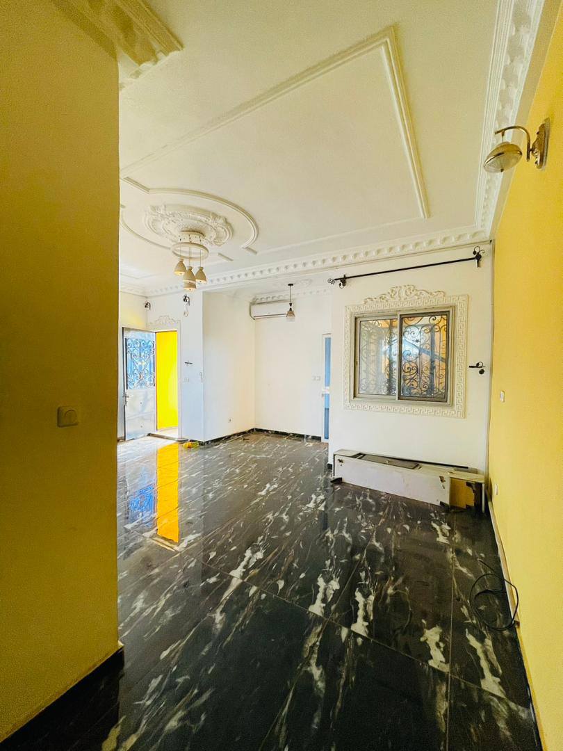 40920- YAOUNDÉ ESSOS  MAGNIFIQUE APPARTEMENT HAUT STANDING NEUF