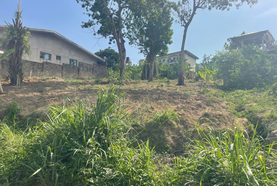 Magnifique lot de terrain à vendre à Logbessou collège Simo