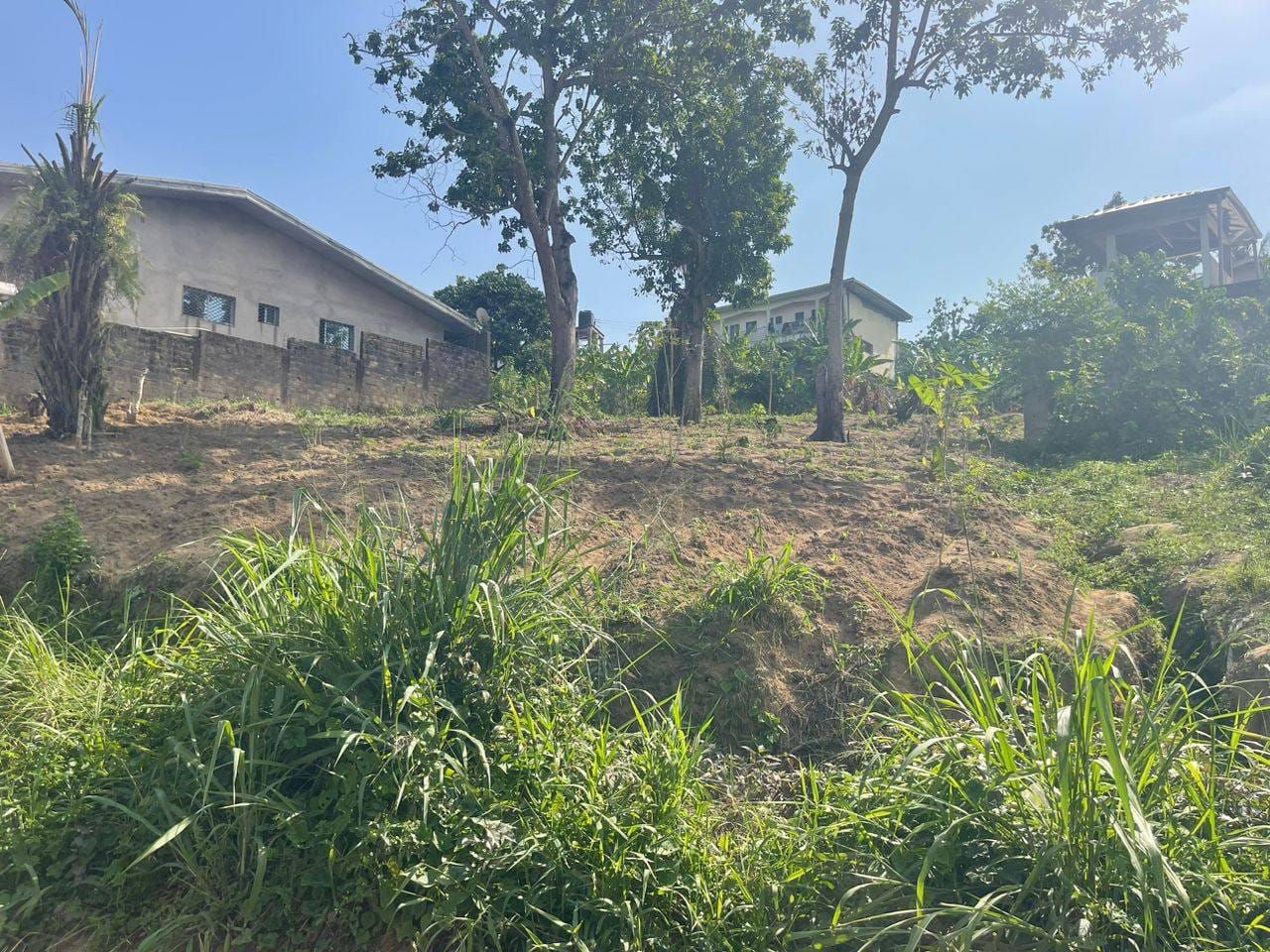 Magnifique lot de terrain à vendre à Logbessou collège Simo