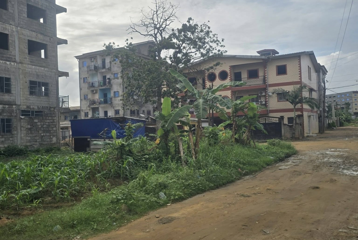 Terrains titrés à vendre, Logbessou derrière la station Nickel Oil