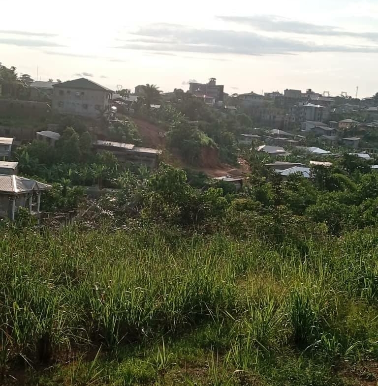 terrain titré à vendre à pk17 à maxi un km du goudron