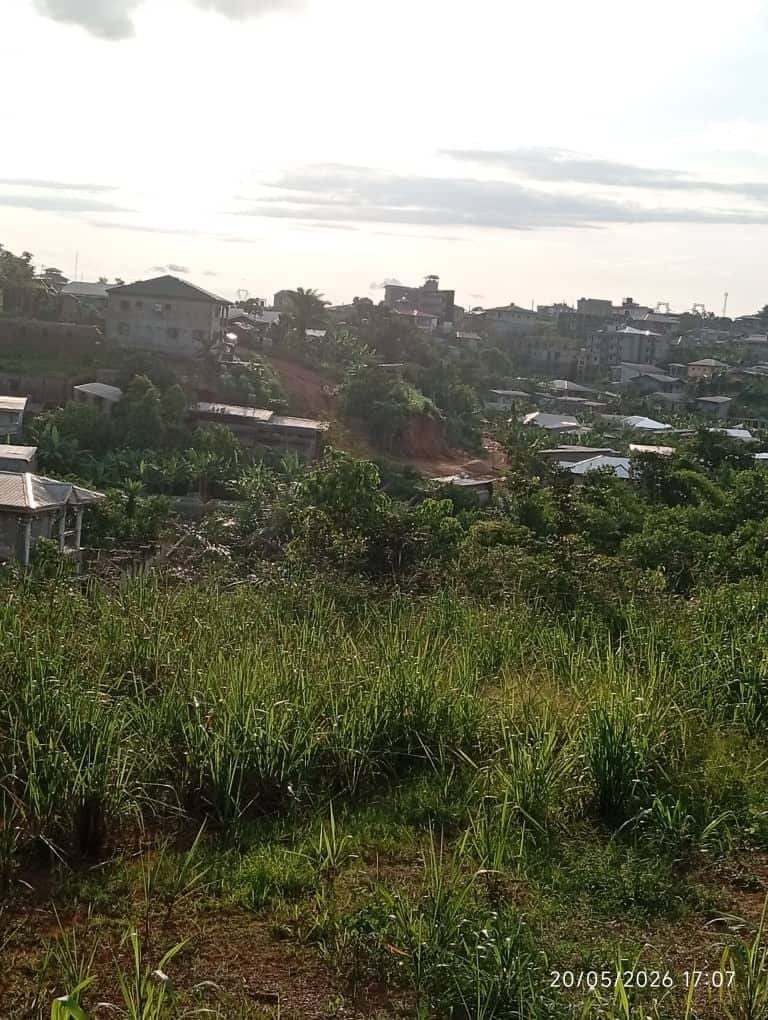 terrain titré à vendre à pk17 à maxi un km du goudron