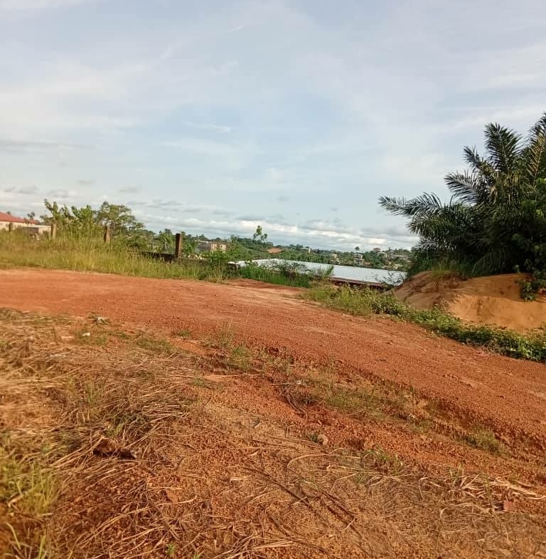 terrain titré à vendre à pk17 à maxi un km du goudron