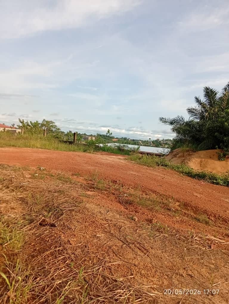 terrain titré à vendre à pk17 à maxi un km du goudron