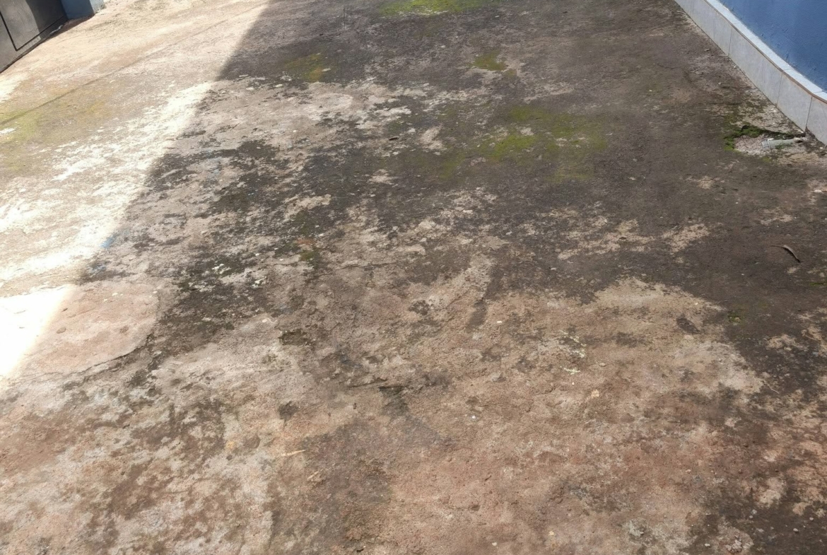 Appartement moderne et spacieux à louer, MAETUR Bafoussam