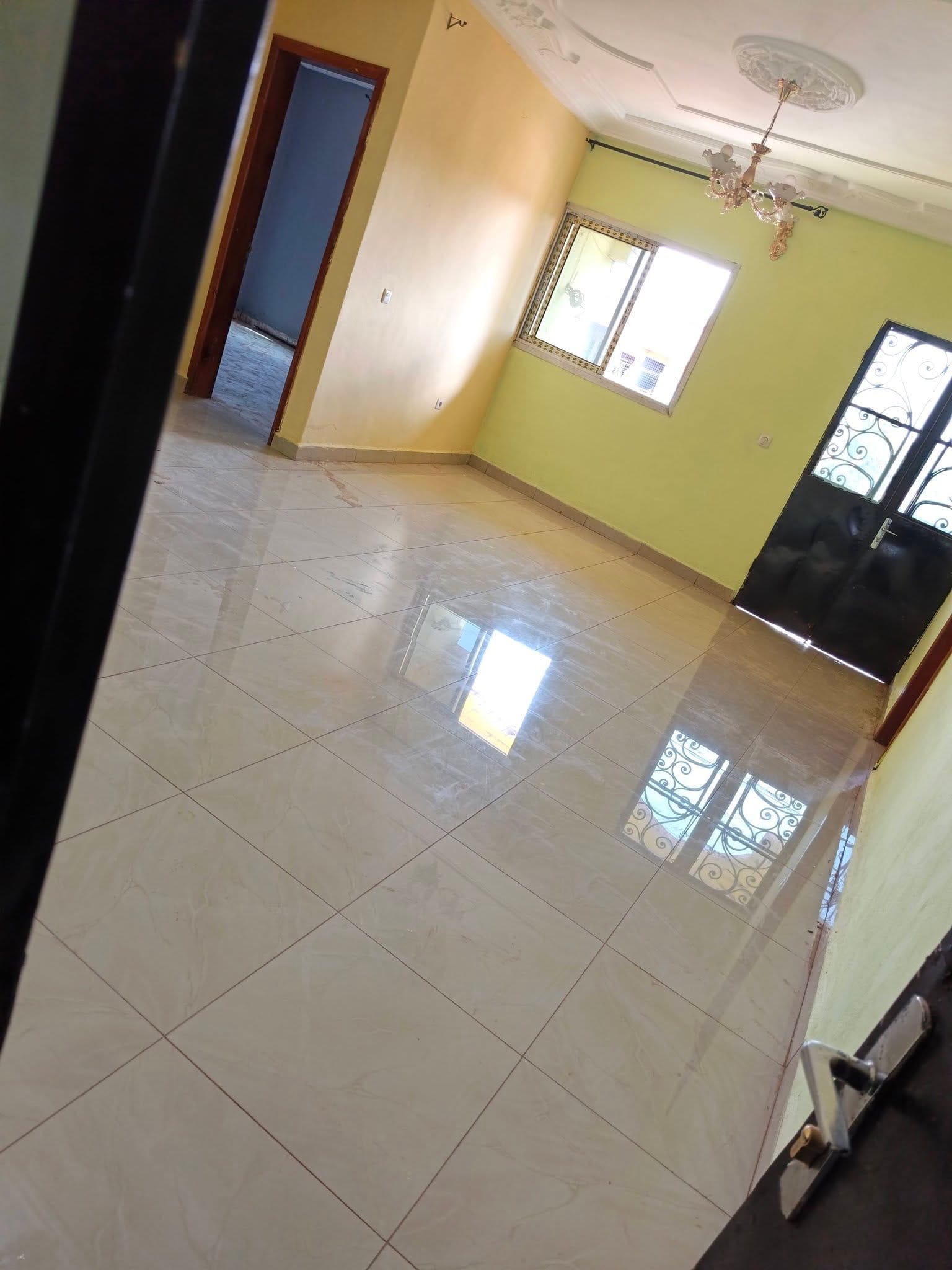 42931- Studio à louer en face de la prefecture de Bafoussam