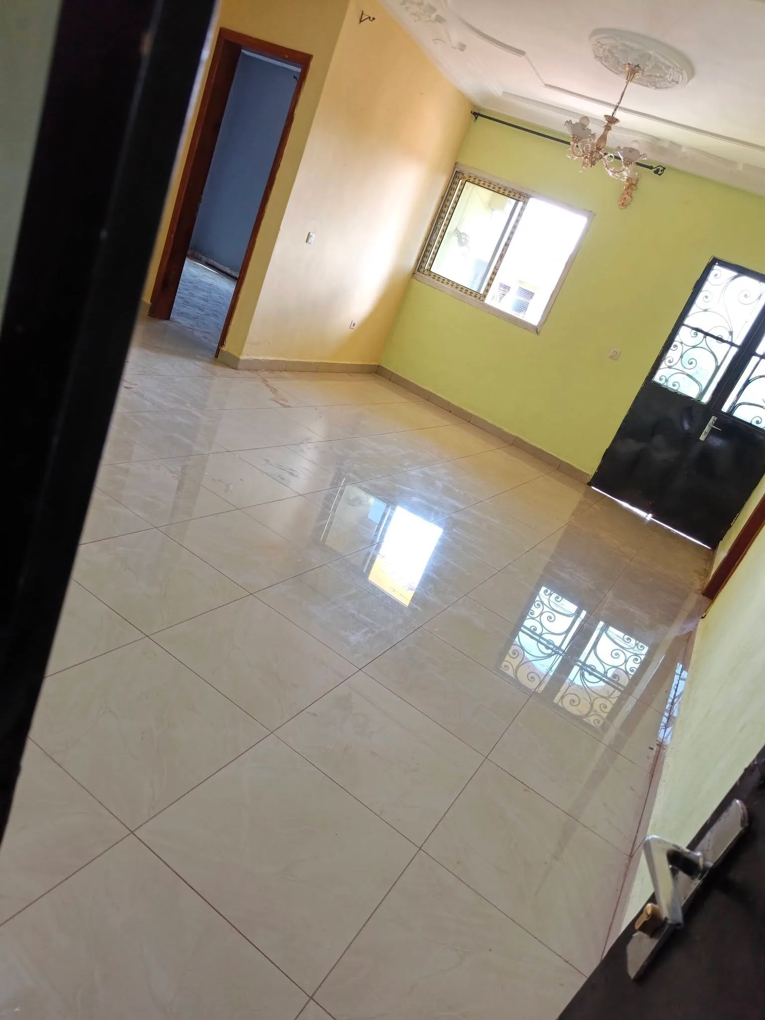 44732- Studio à louer en face de la prefecture de Bafoussam
