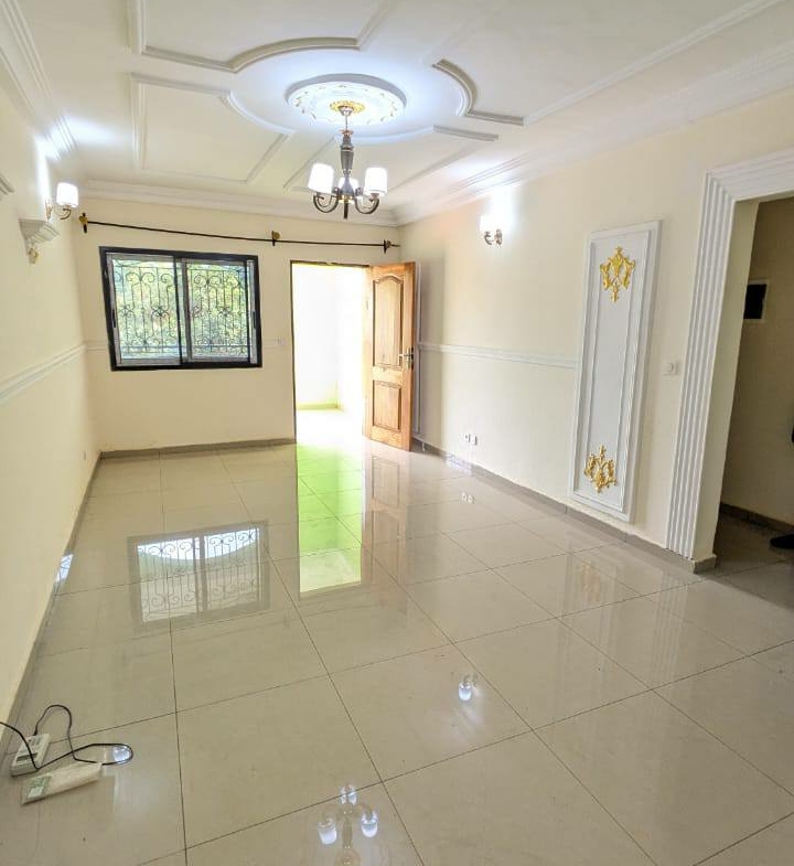 MAGNIFIQUE APPARTEMENT À LOUER, YAOUNDÉ EMANA
