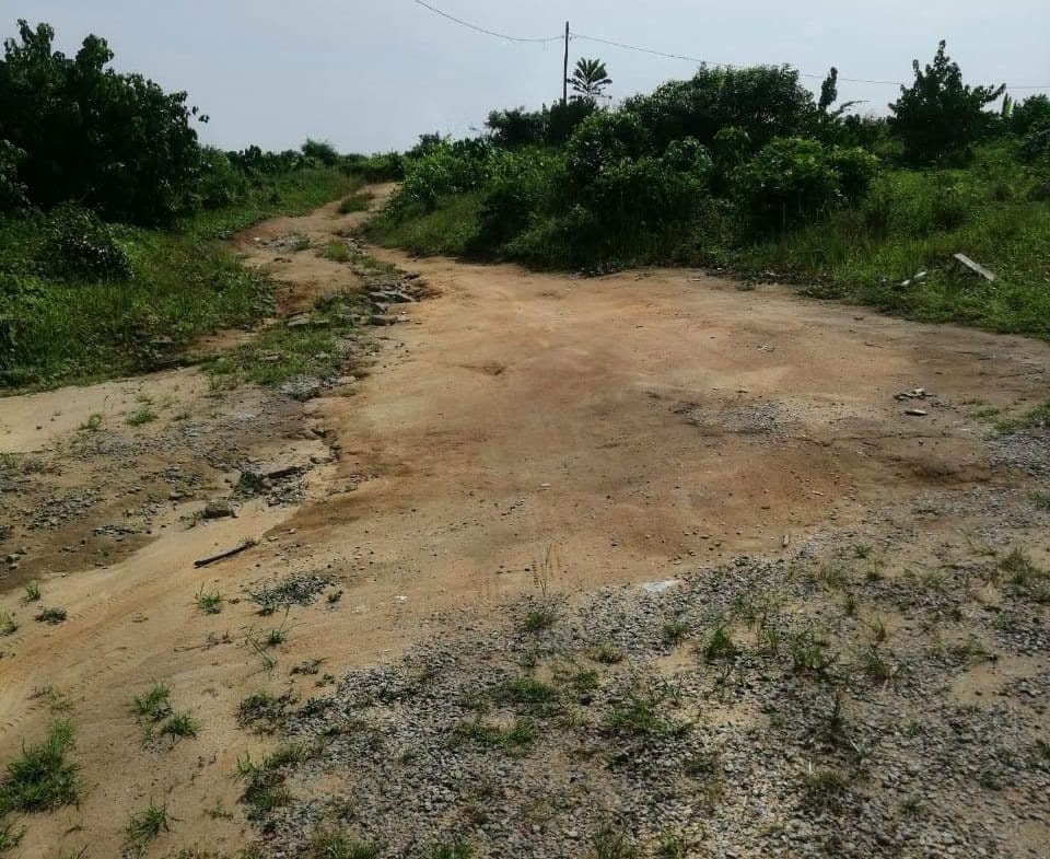 TERRAIN TITRÉ À VENDR, DOUALA BWANG BAKOKO
