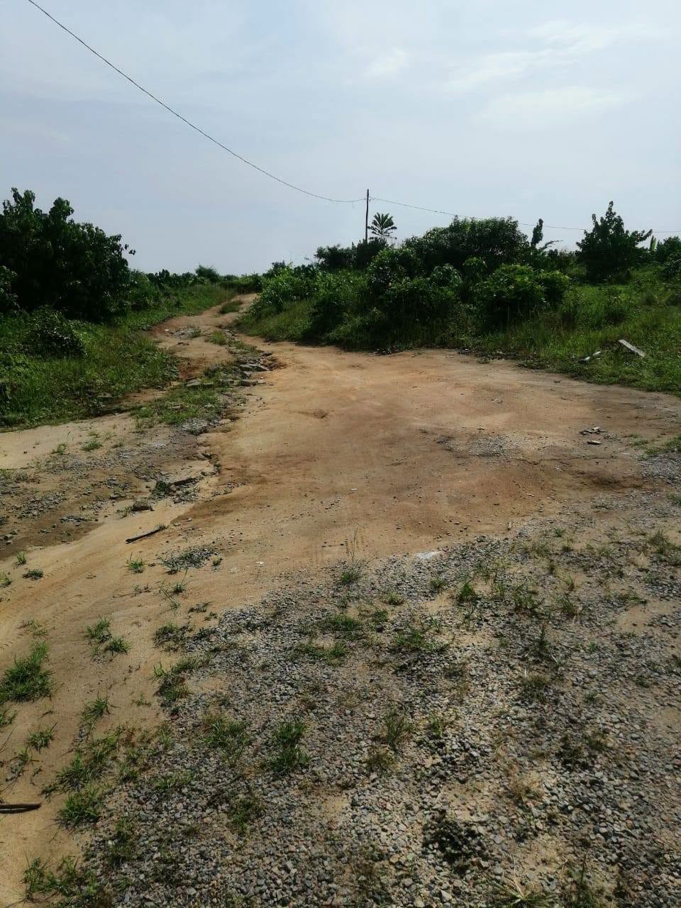 LI_terrain_bakoko_280626_trr_1 TERRAIN TITRÉ À VENDR, DOUALA BWANG BAKOKO
