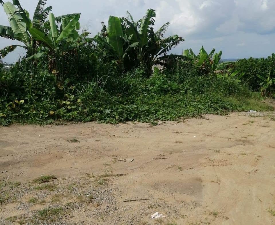 TERRAIN TITRÉ À VENDR, DOUALA BWANG BAKOKO