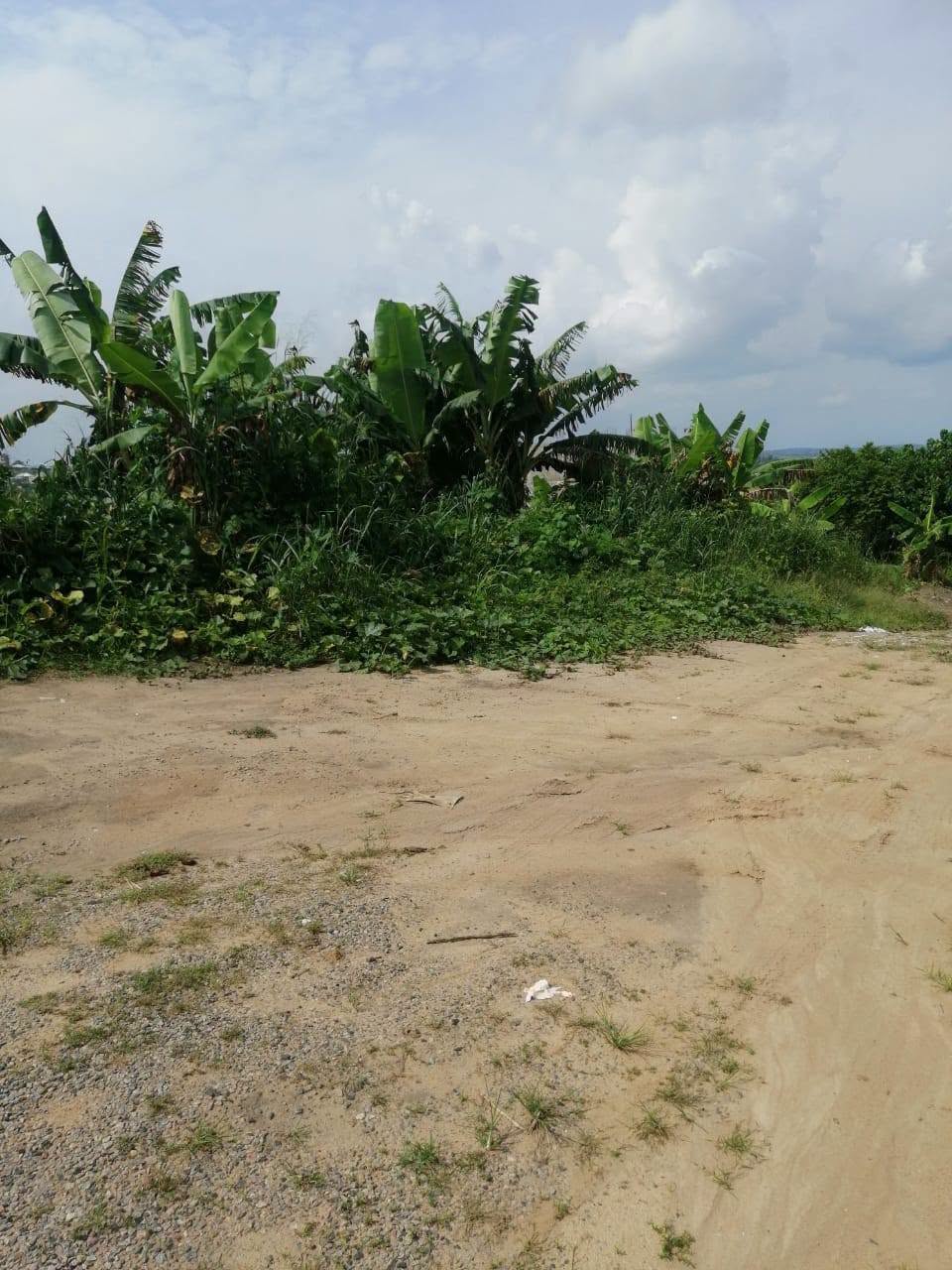 LI_terrain_bakoko_280626_trr_4 TERRAIN TITRÉ À VENDR, DOUALA BWANG BAKOKO