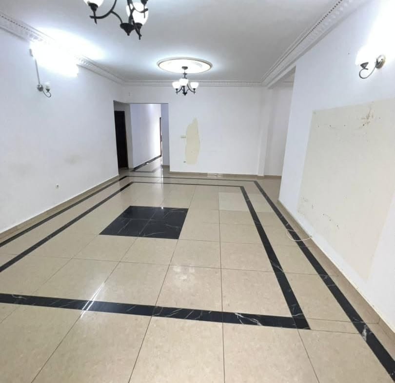 GRAND APPARTEMENT MODERNE STAFFÉ SITUÉ À NYALLA PARISO