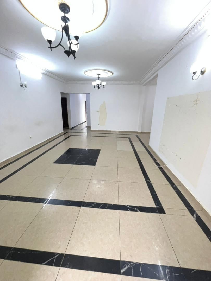 GRAND APPARTEMENT MODERNE STAFFÉ SITUÉ À NYALLA PARISO