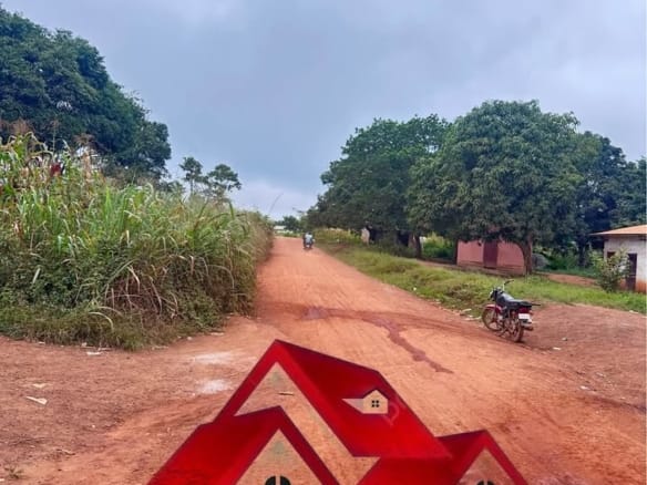 Terrain à vendre à Bertoua Gbakombo en bordure de route