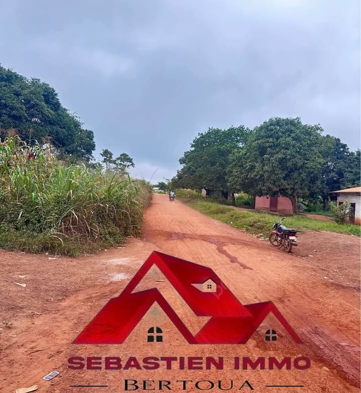 Terrain à vendre à Bertoua Gbakombo en bordure de route