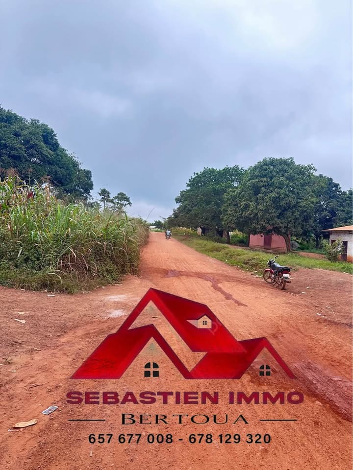 44001- Terrain à vendre à Bertoua Gbakombo en bordure de route