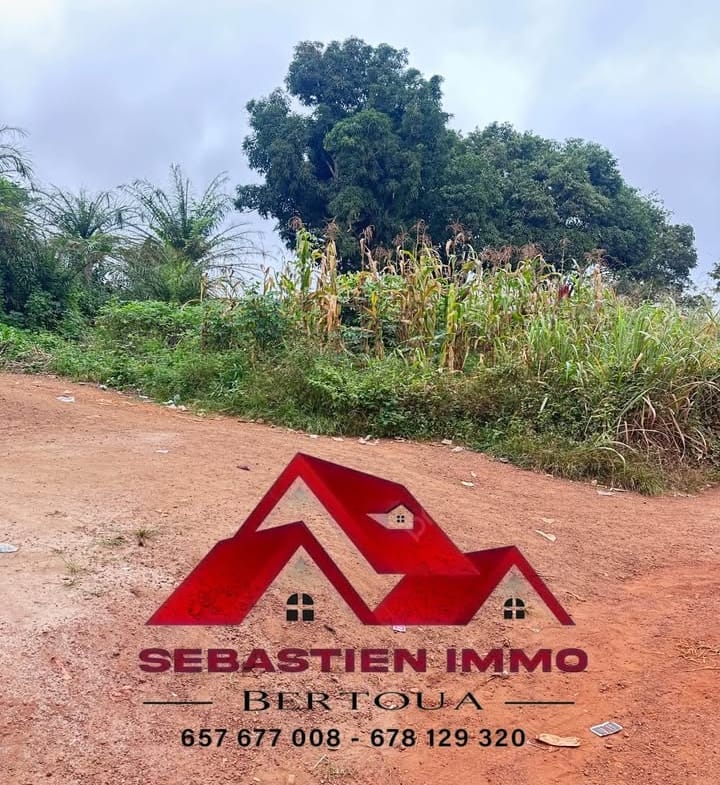 Terrain à vendre à Bertoua Gbakombo en bordure de route