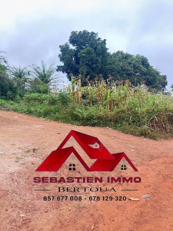 Terrain à vendre à Bertoua Gbakombo en bordure de route