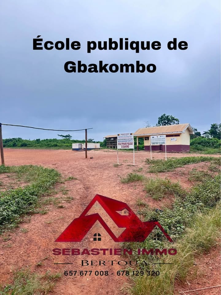 Terrain à vendre à Bertoua Gbakombo en bordure de route