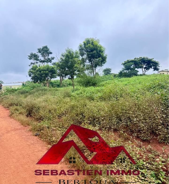 Terrain à vendre à Bertoua Gbakombo en bordure de route