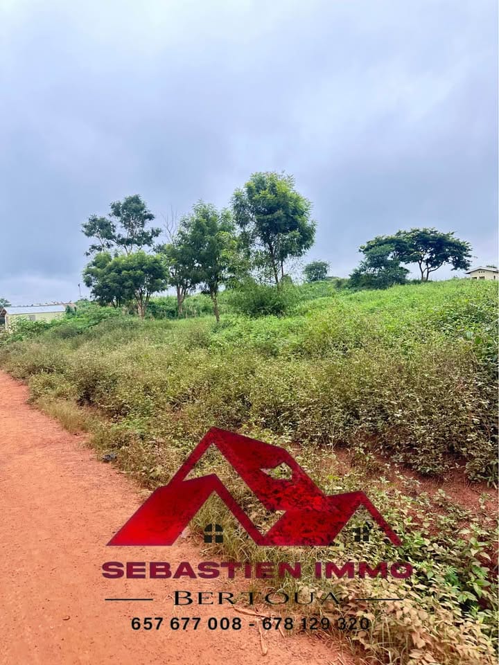 Terrain à vendre à Bertoua Gbakombo en bordure de route