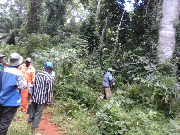 500 hectares de terrain agricole à louer à Mengang Cameroun