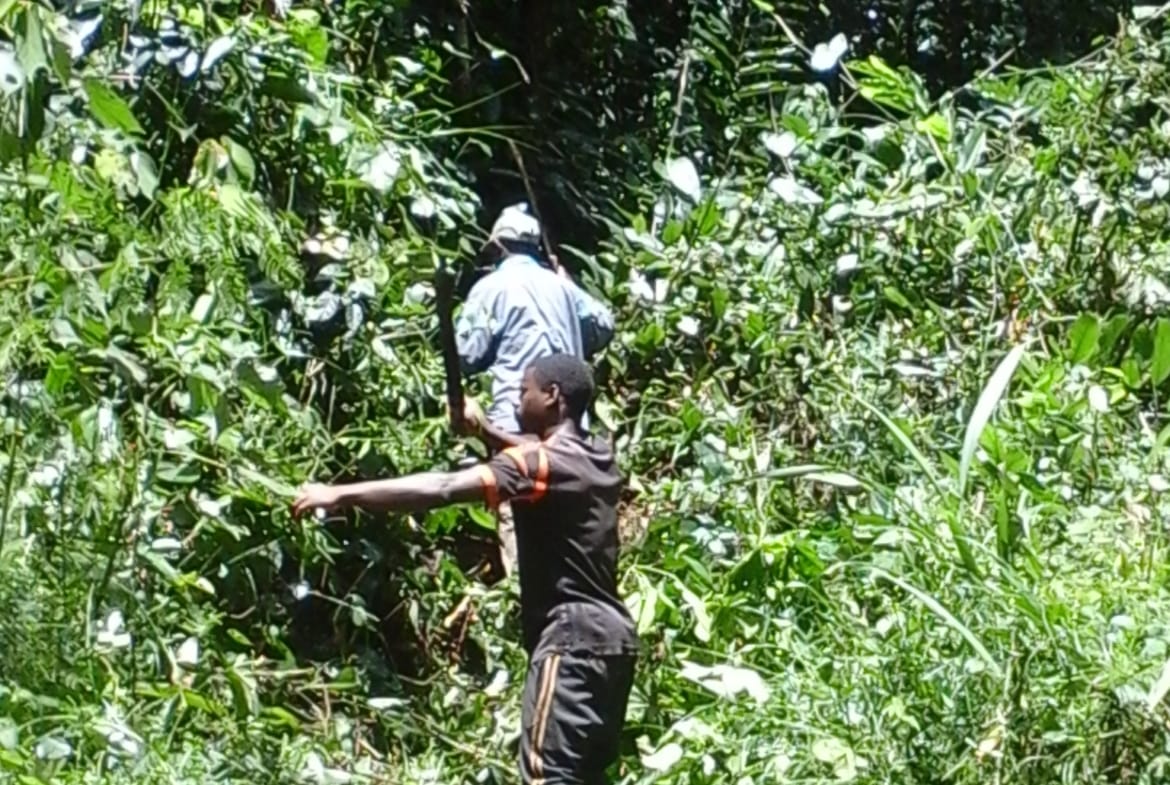 500 hectares de terrain agricole à louer à Mengang Cameroun