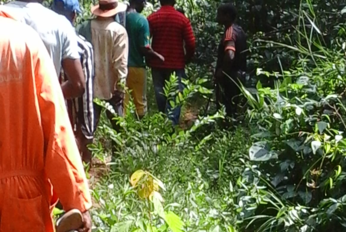 500 hectares de terrain agricole à louer à Mengang Cameroun