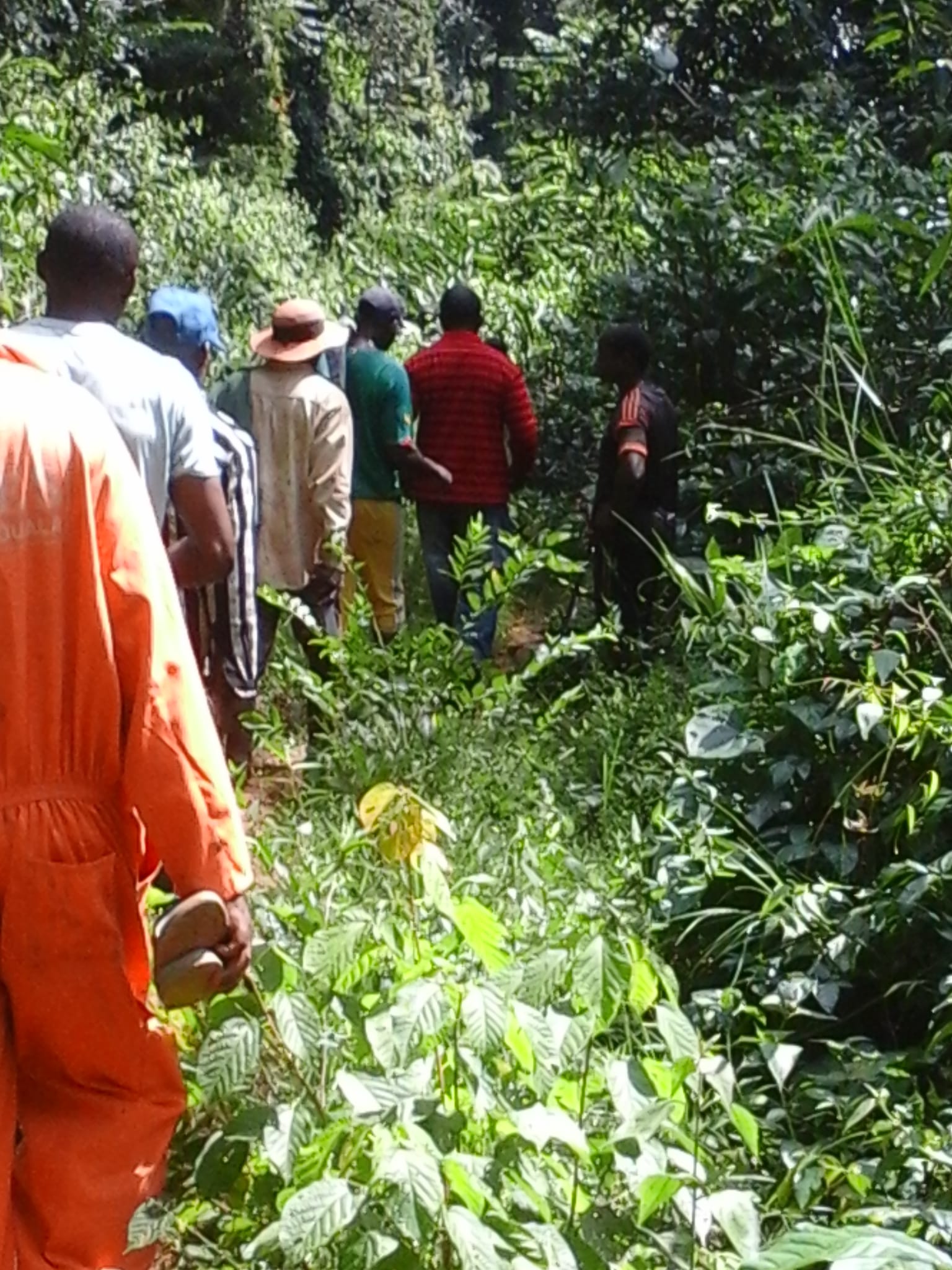 500 hectares de terrain agricole à louer à Mengang Cameroun