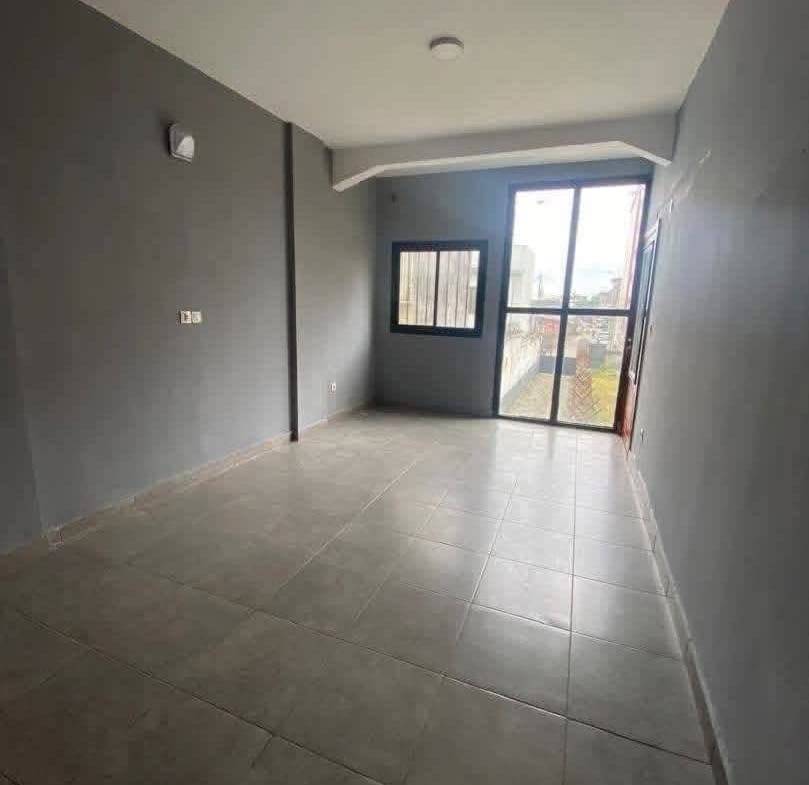 Appartement spacieux et confortable situé à Bonapriso