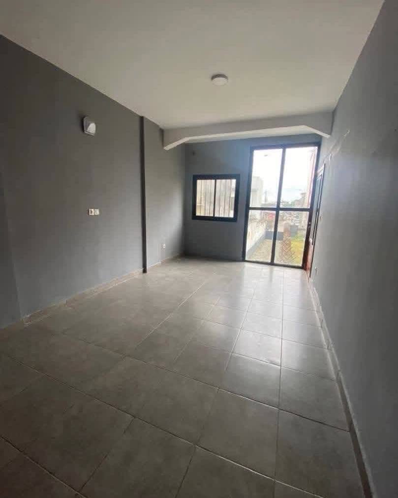 Appartement spacieux et confortable situé à Bonapriso