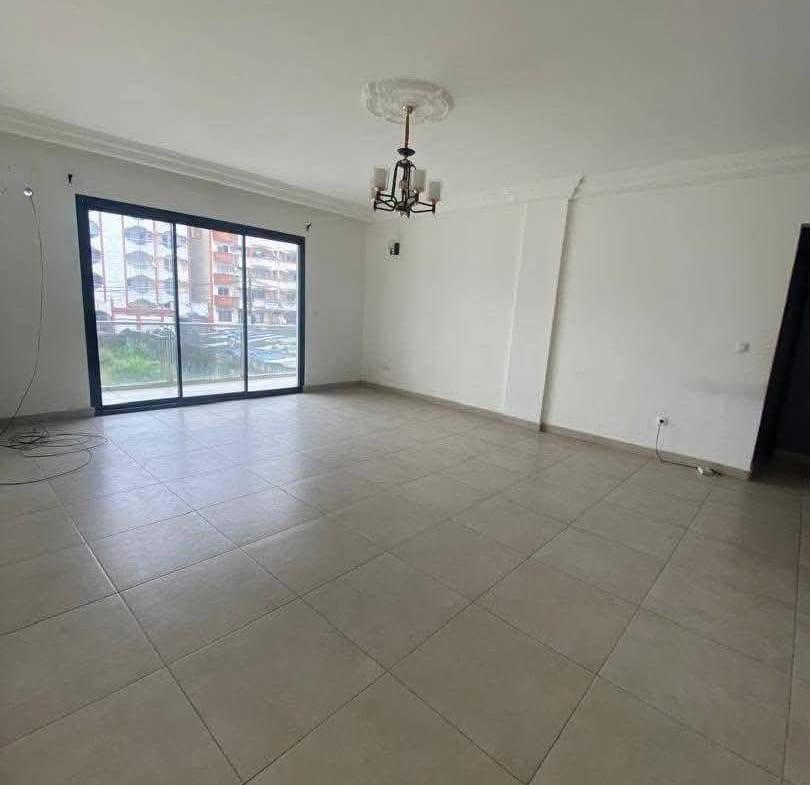 Appartement spacieux et confortable situé à Bonapriso