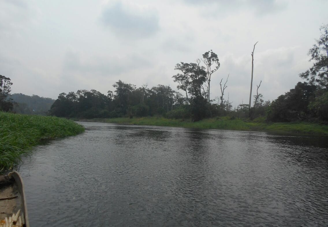 500 hectares de terrain agricole à louer à Mengang Cameroun