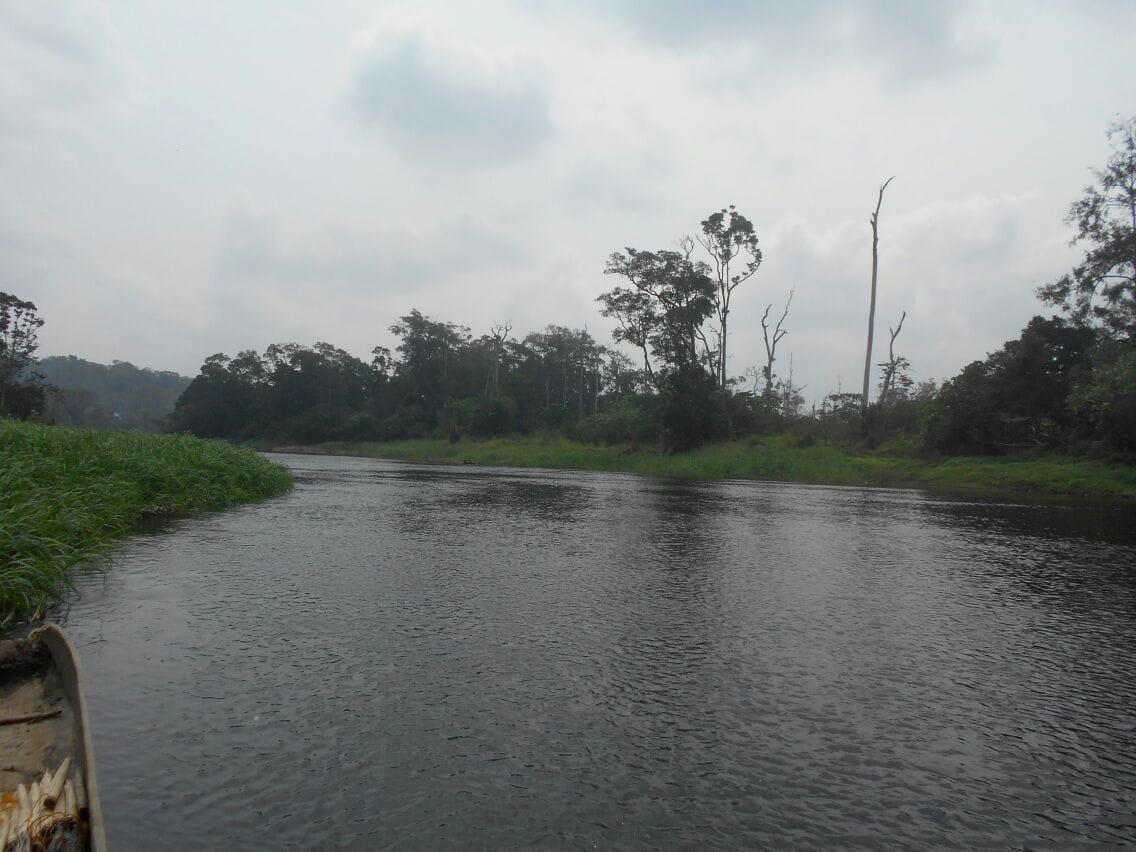 500 hectares de terrain agricole à louer à Mengang Cameroun