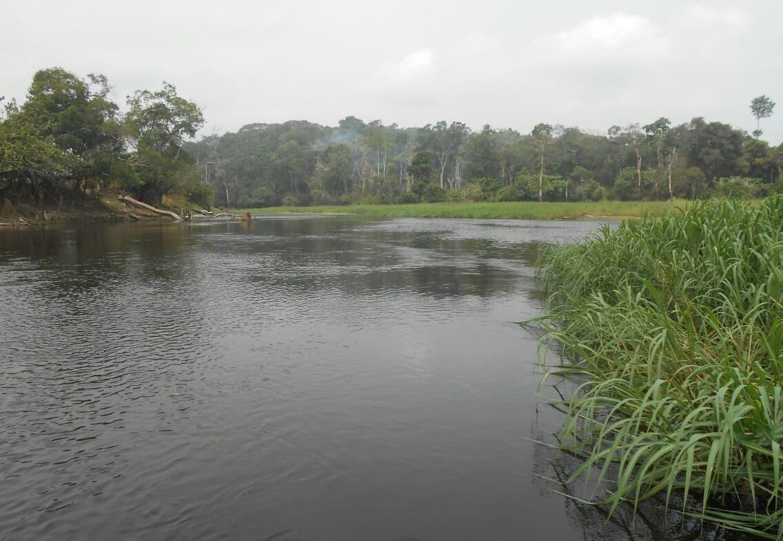 500 hectares de terrain agricole à louer à Mengang Cameroun