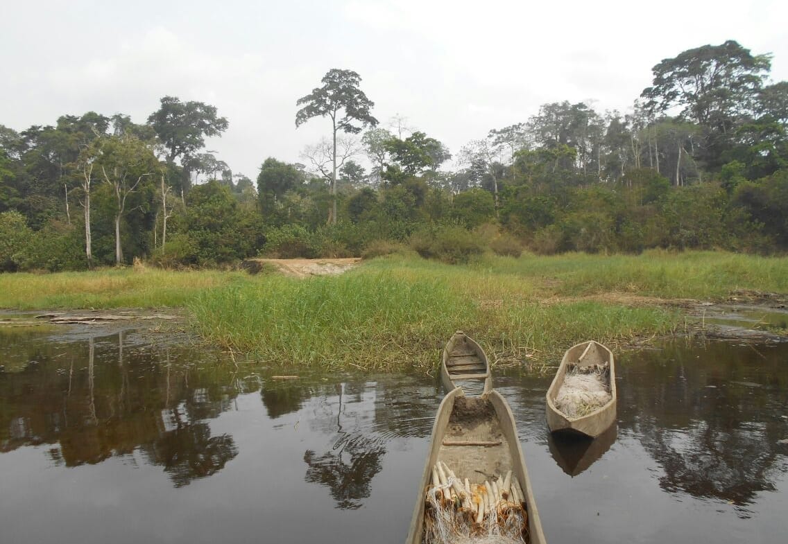 500 hectares de terrain agricole à louer à Mengang Cameroun