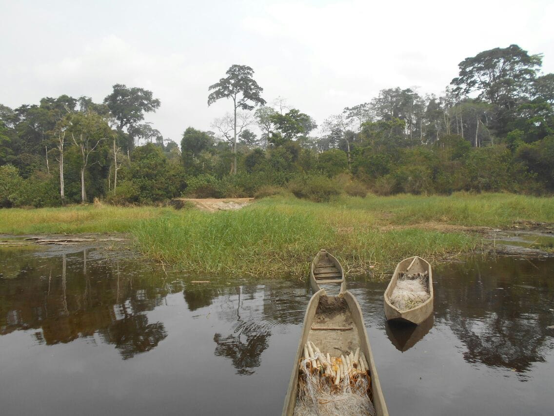 500 hectares de terrain agricole à louer à Mengang Cameroun