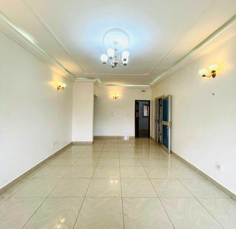 Luxueux appartement 3 chambres à Yaoundé Essos 250000fcfa