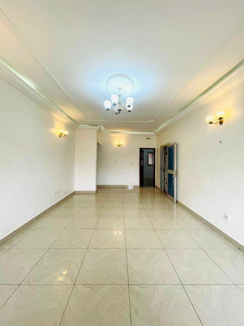 Luxueux appartement 3 chambres à Yaoundé Essos 250000fcfa