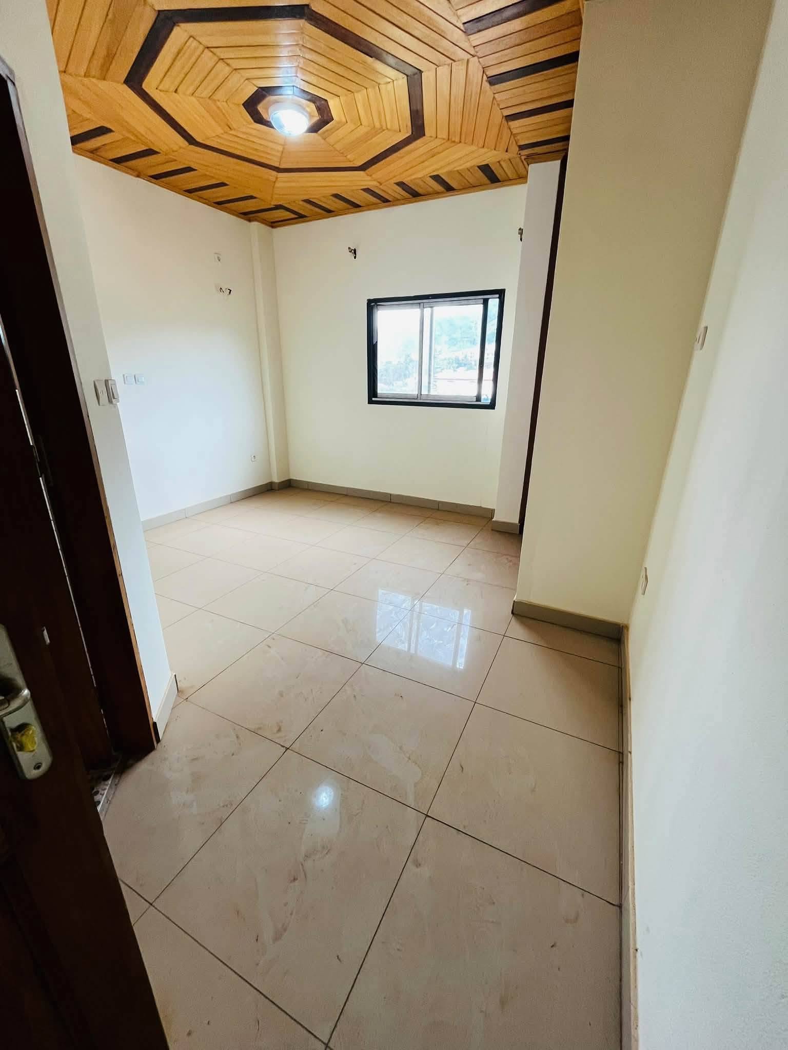 Appartement haut standing 2 chambres Yaoundé Étoug-Ébé