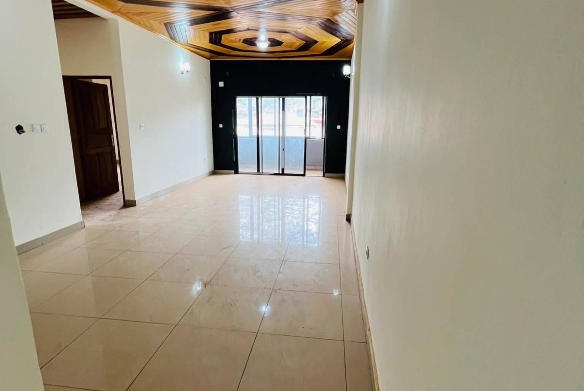 Appartement haut standing 2 chambres Yaoundé Étoug-Ébé